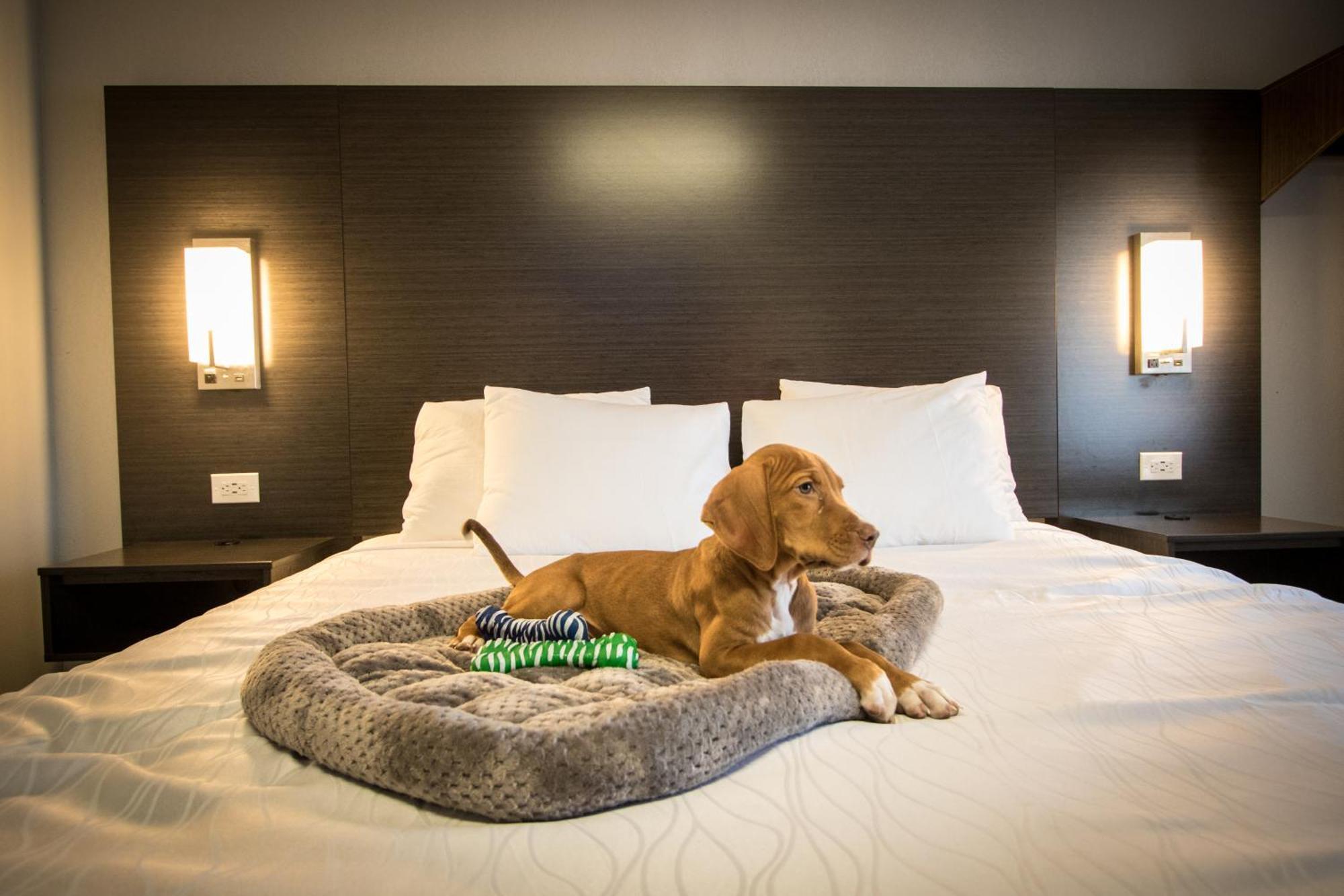 Envi Boutique 5*