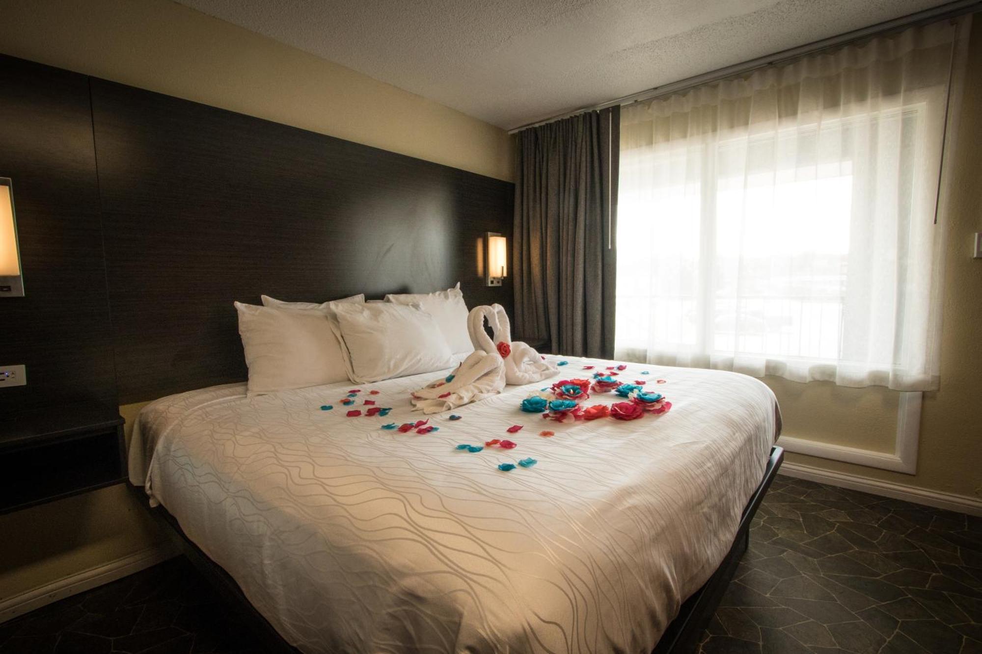 Hotel Envi Boutique 5*