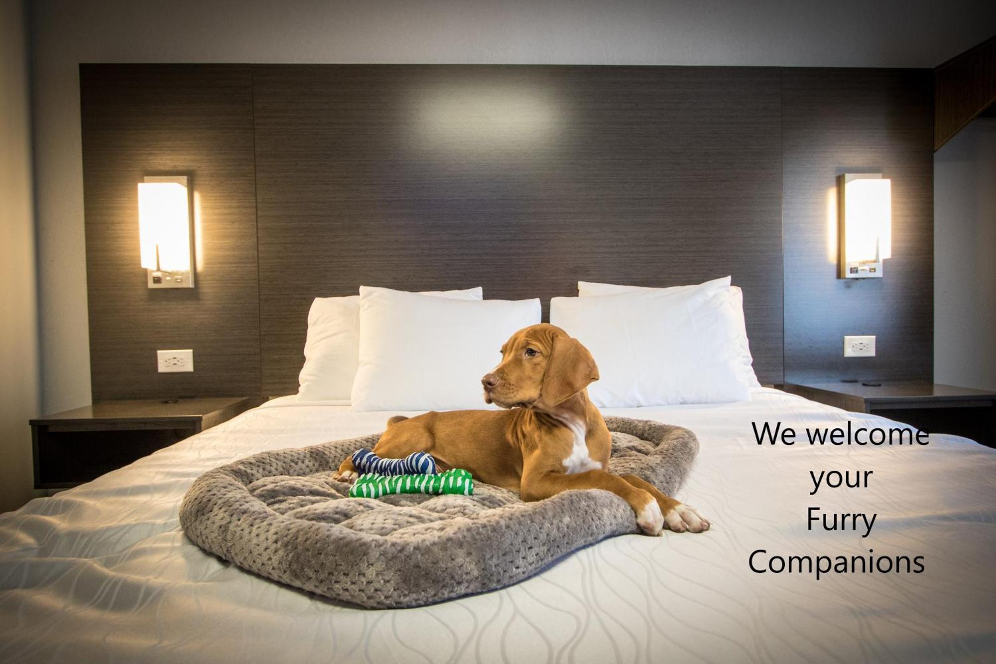 Hotel Envi Boutique Henderson